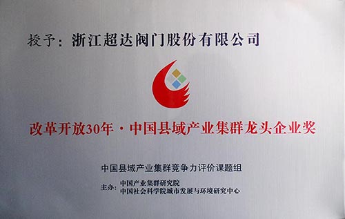 改革开放30年·中国县域产业集群龙头企业奖