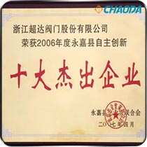 2006年度永嘉县自主创新企业