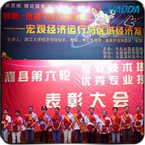 永嘉县第六轮专业技术拔尖人才表彰大会