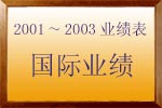 2001～2003年 国际业绩
