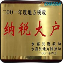 2001年度地方税收纳税大户