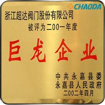 2001巨龙企业