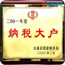 2001年度纳税大户