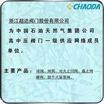 2001中石油天燃气集团一级网络