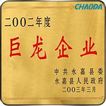 2002年度巨龙企业