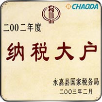 2002年度纳税大户