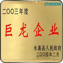 2003年度巨龙企业