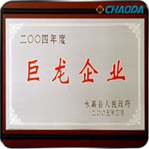 2004年度巨龙企业