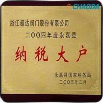 2004年度纳税大户