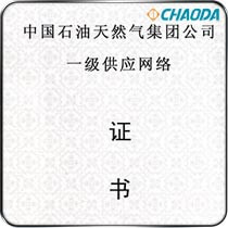 2004中石油天燃气集团一级网络