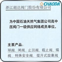 2005中石油天燃气集团一级网络