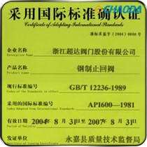 钢制止回阀-采用国际标准确认证
