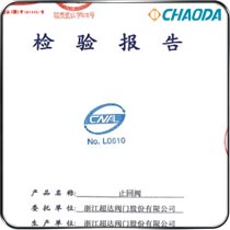 止回阀检验报告