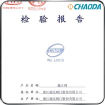 截止阀检验报告