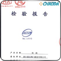 闸阀检验报告