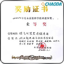 永嘉县科学技术进步一等奖-煤气化装置用锁渣阀
