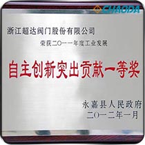 永嘉县自主创新突出贡献一等奖