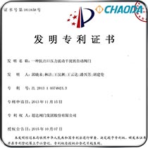 一种抗出口压力波动干扰的自动阀门