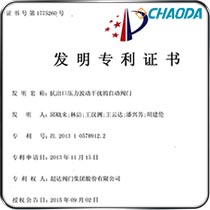 发明专利
