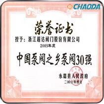 中国泵阀之乡泵阀30强证书