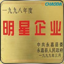1994～1998年度明星企业