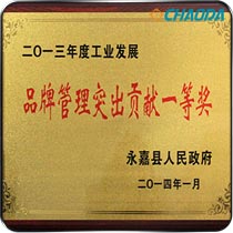 品牌管理突出贡献一等奖