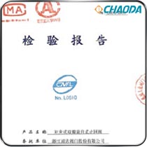 型式检验-对夹连接双瓣旋启式止回阀-H76H-600LB