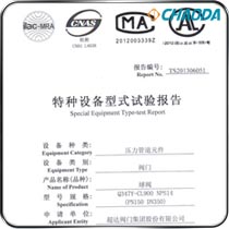 型式检验-灰水、黑水及煤浆用特种金属硬密封球阀QT347Y-CL900-NPS14