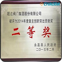 自主创新突出贡献奖